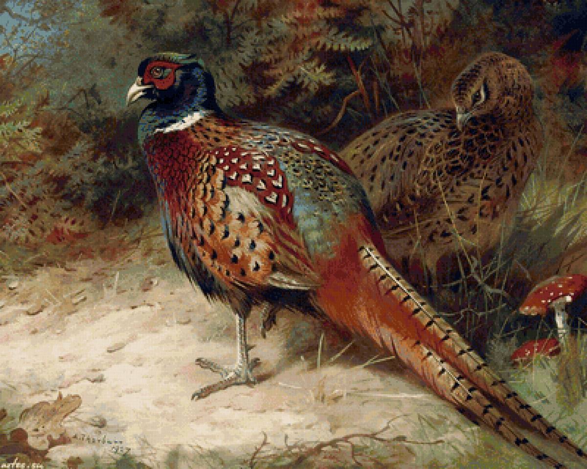 №1992191 - предпросмотр