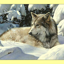 Оригинал схемы вышивки «Волк.» (№1992430)