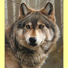 Оригинал схемы вышивки «Волк.» (№1992435)