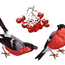 Схема вышивки «№1992522»