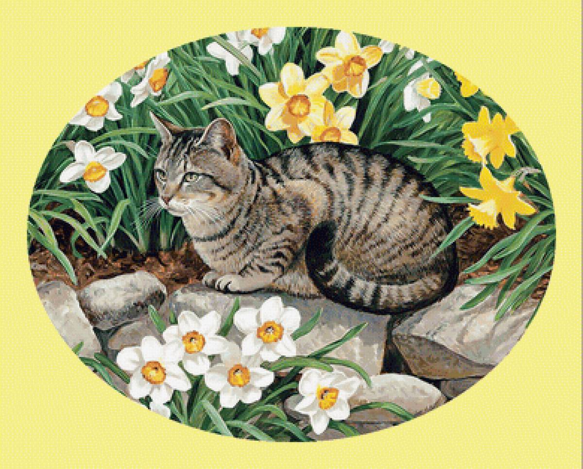 Кот в цветах. - кот, цветы, нарциссы, кошка - предпросмотр