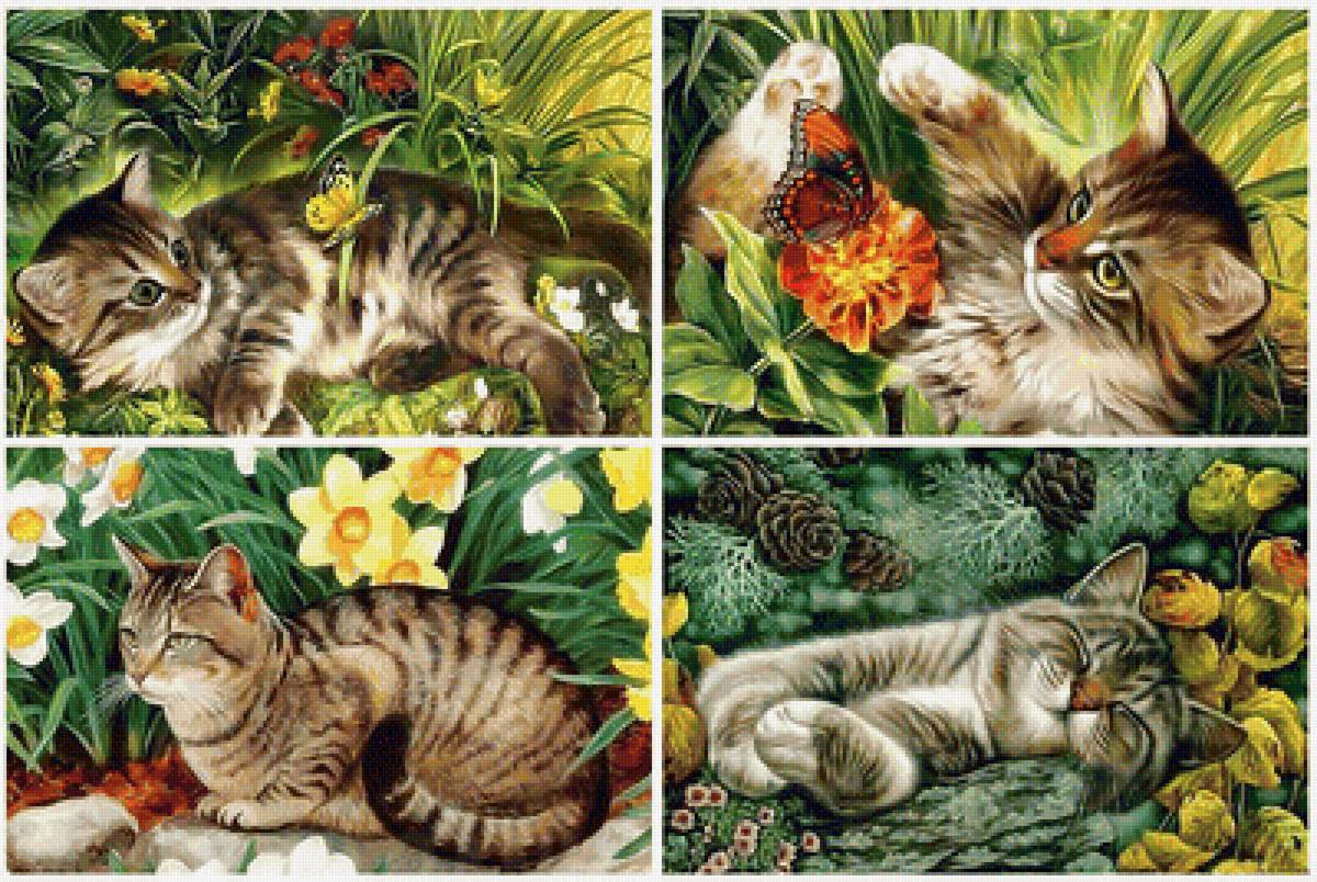 Котики. Коллаж. - котенок, коты, кошки, цветы - предпросмотр