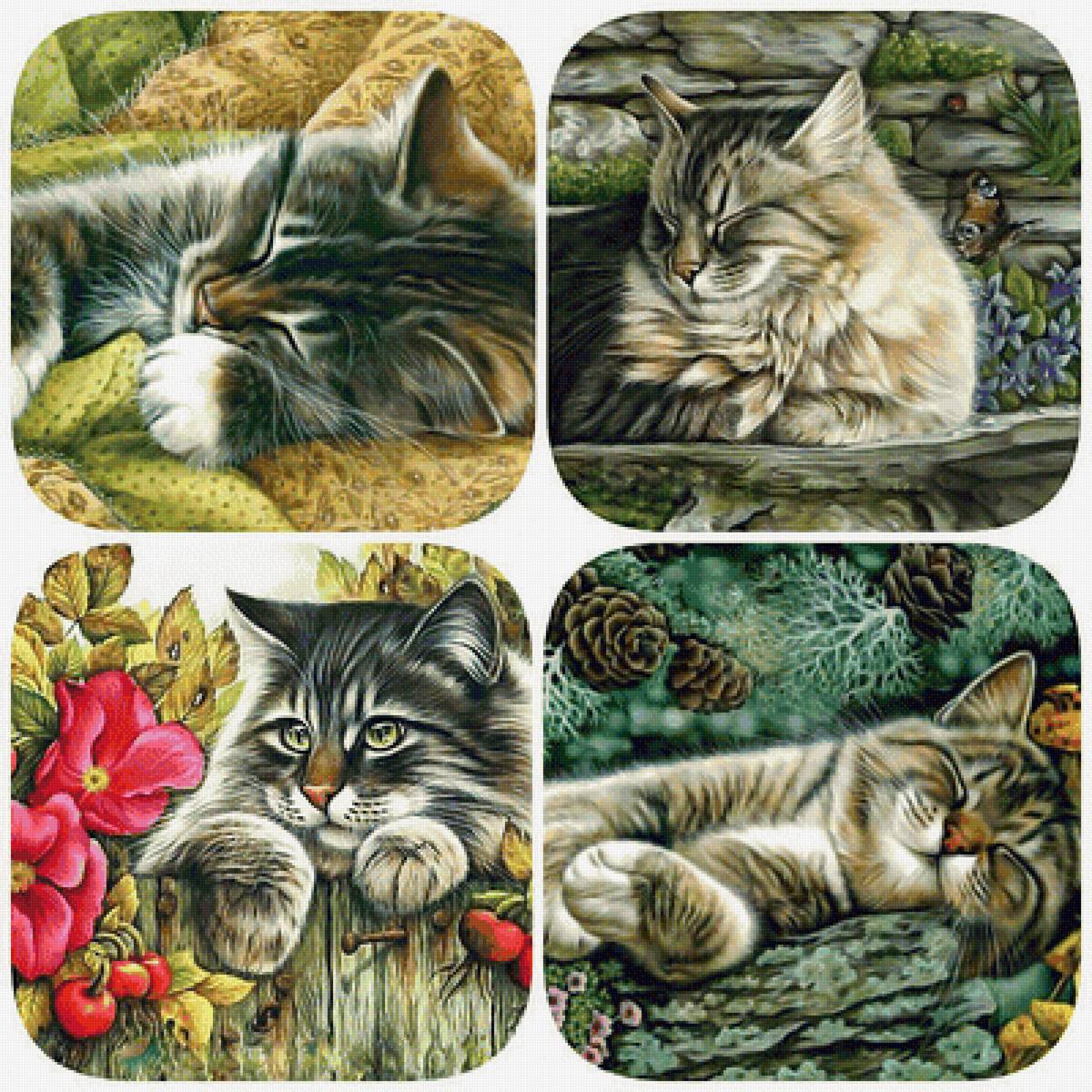 Котики. Коллаж. - цветы, коты, котенок, кошки - предпросмотр