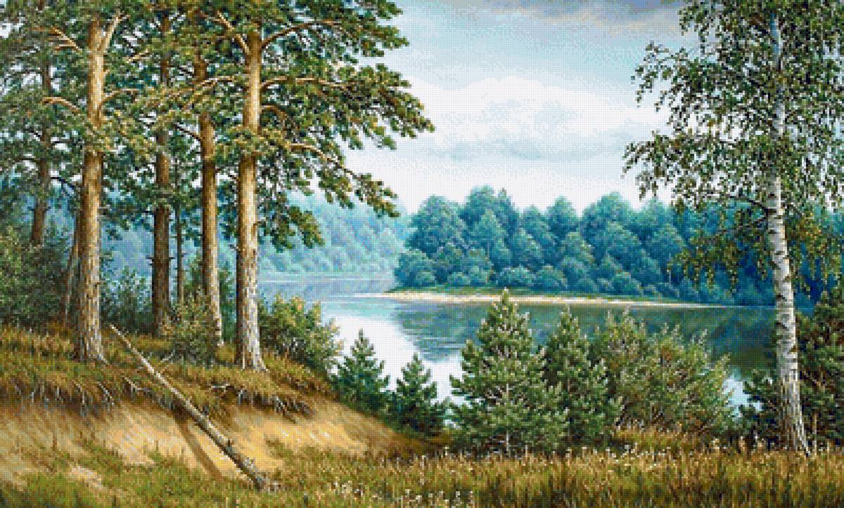 пейзаж - пейзаж, река, сосны, березы - предпросмотр