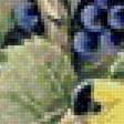 Предпросмотр схемы вышивки «Птички и виноград» (№1993225)