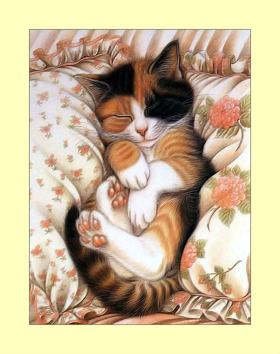 Сладкий сон. - кошки, котенок, животные, сон - оригинал