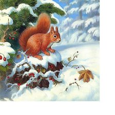 Схема вышивки «295х305»