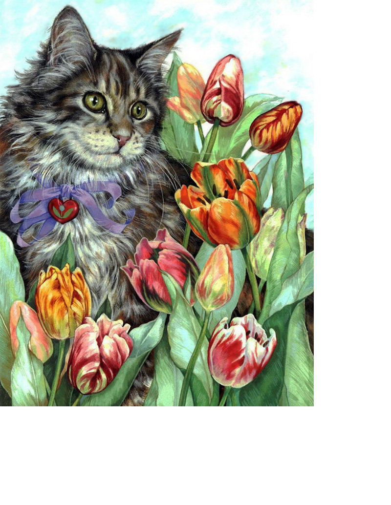 Кот. - кот. картина. живопись. - оригинал