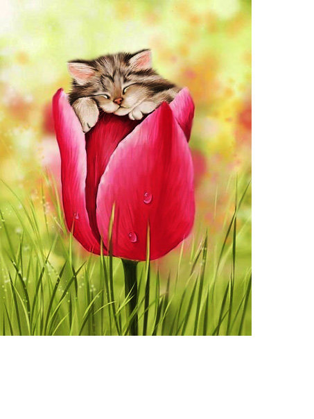 Кот. - кот. картина. живопись. - оригинал