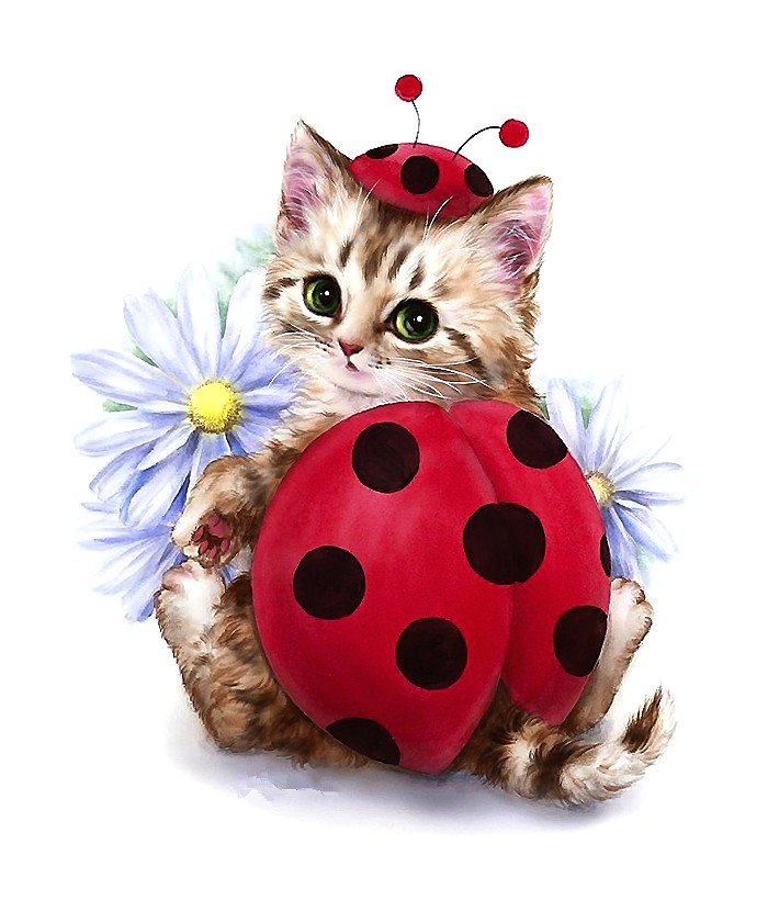 котёнок с цветами - костюм, цветы, котенок - оригинал