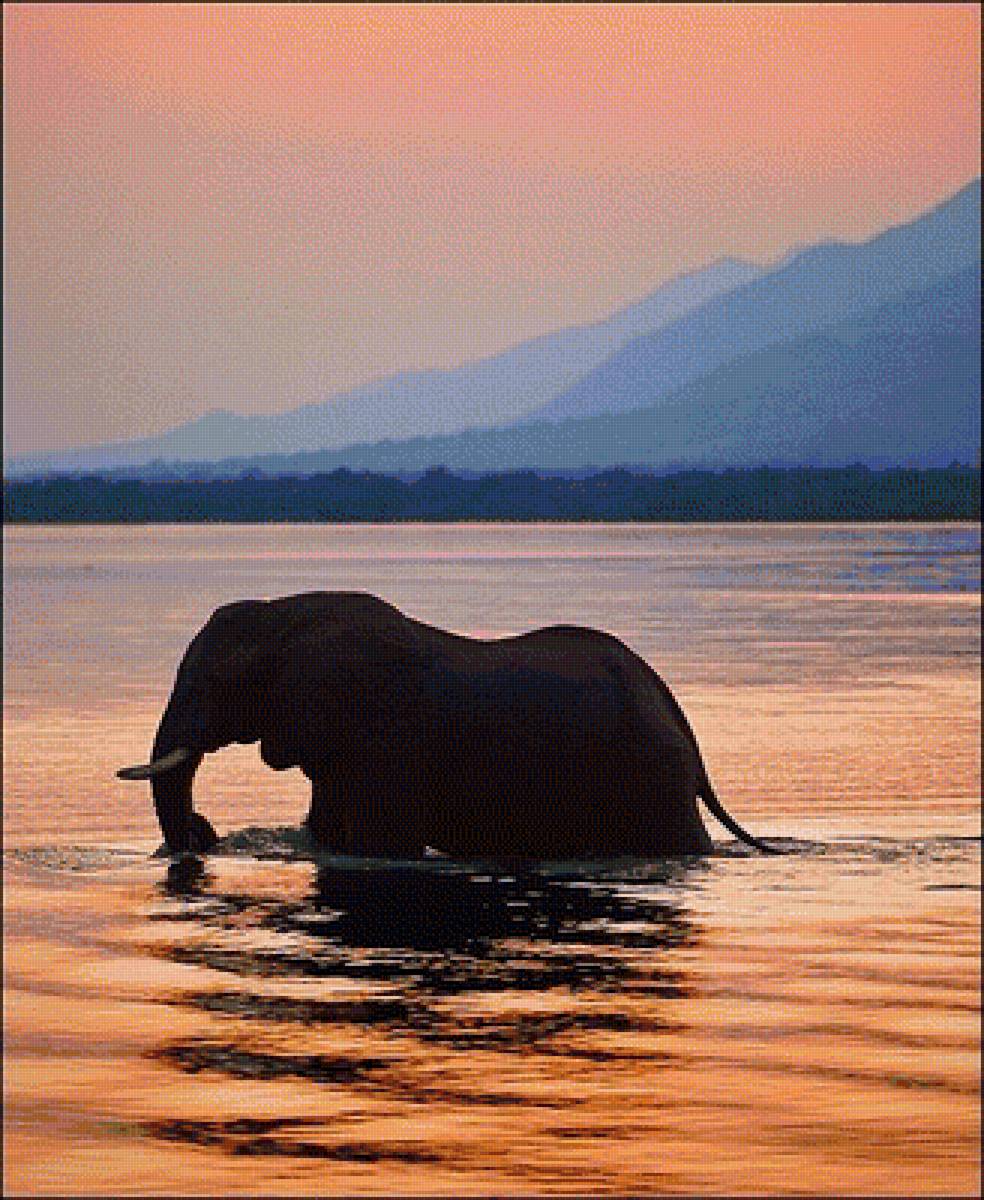 слон - животные - предпросмотр