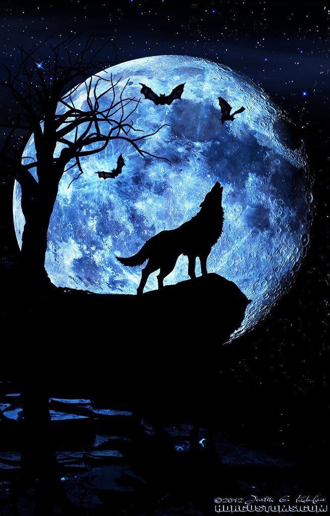 Полнолуние - луна, волк, полнолуние, летучие мыши - оригинал