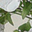 Предпросмотр схемы вышивки «№1993901»