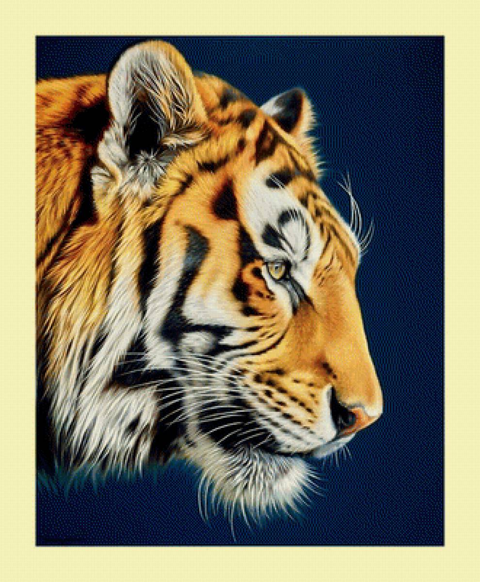 №1993941 - хищники, тигр, тигры, животные - предпросмотр