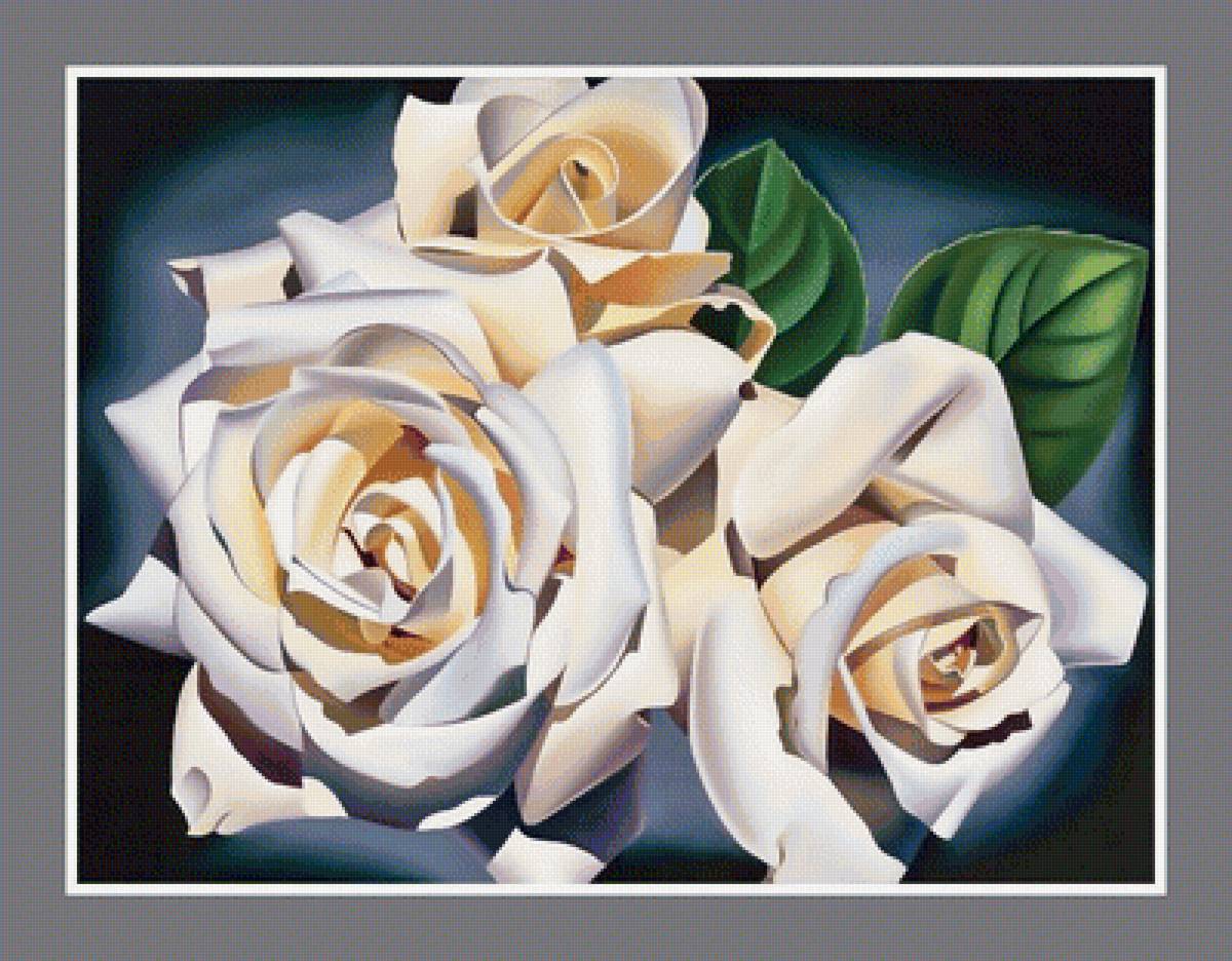 №1993949 - цветы, розы - предпросмотр