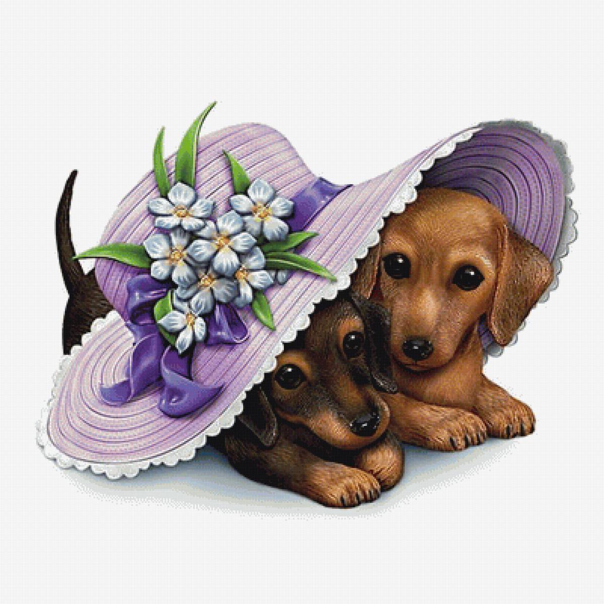 priatelia - предпросмотр