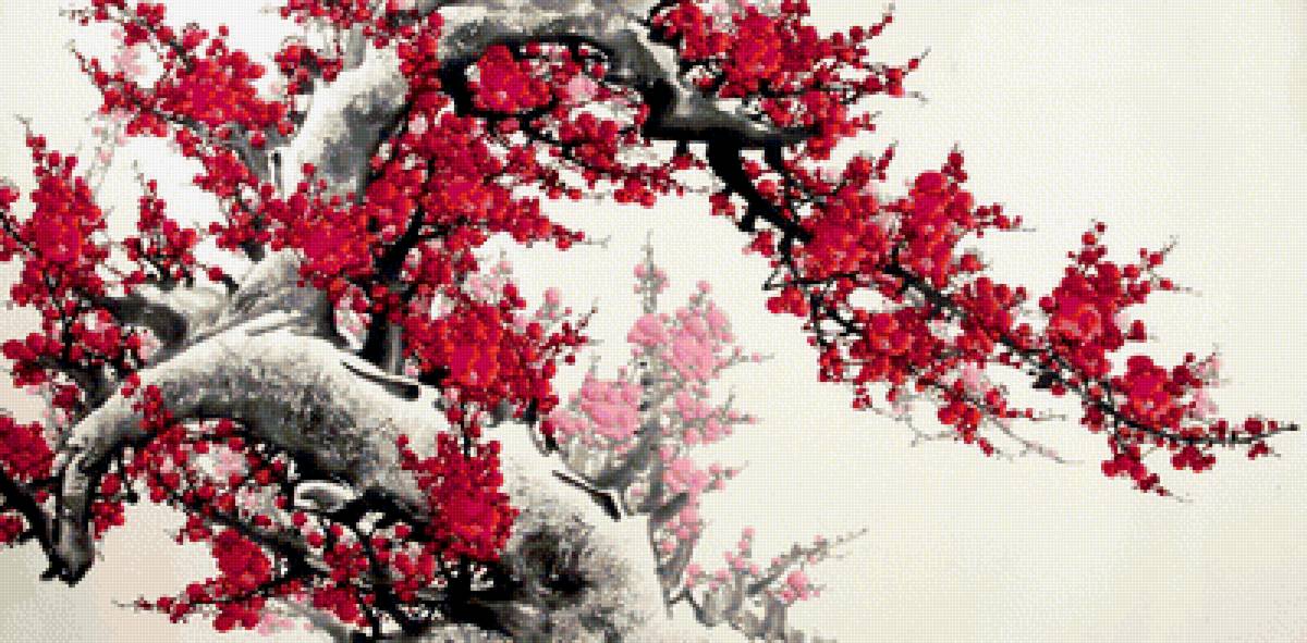 мейхуа - слива, мейхуа, китай - предпросмотр