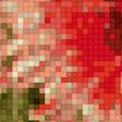 Предпросмотр схемы вышивки «цветы Дифа» (№1994294)