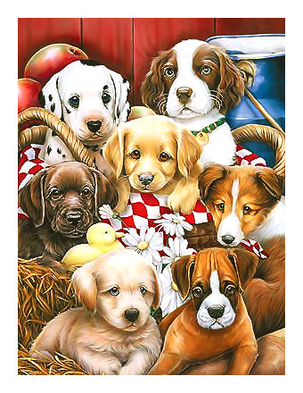 Серия "Собаки". - собаки, животные - оригинал