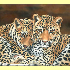 Схема вышивки «Леопарды. Пара.»