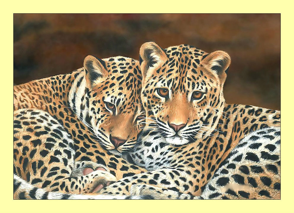 Леопарды. Пара. - хищники, животные, леопарды - оригинал