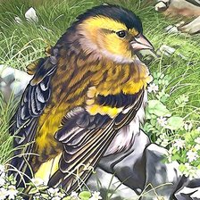 Схема вышивки «№1994342»