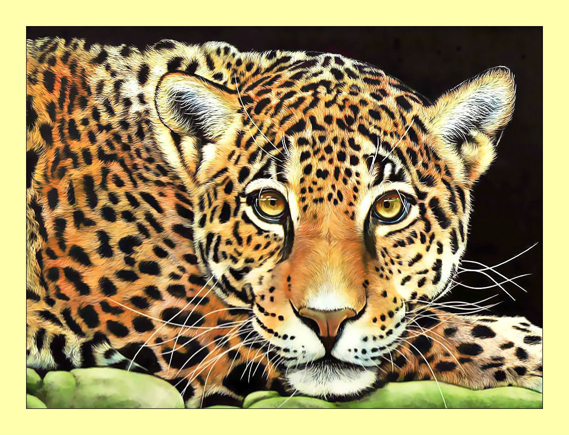 Леопард. - животные, хищник, взгляд, леопард - оригинал