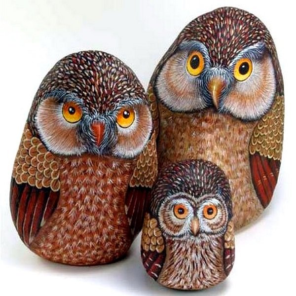 совы - совы, семья - оригинал