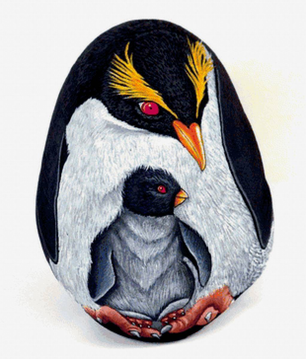 пингвины - семья, пингвины - предпросмотр