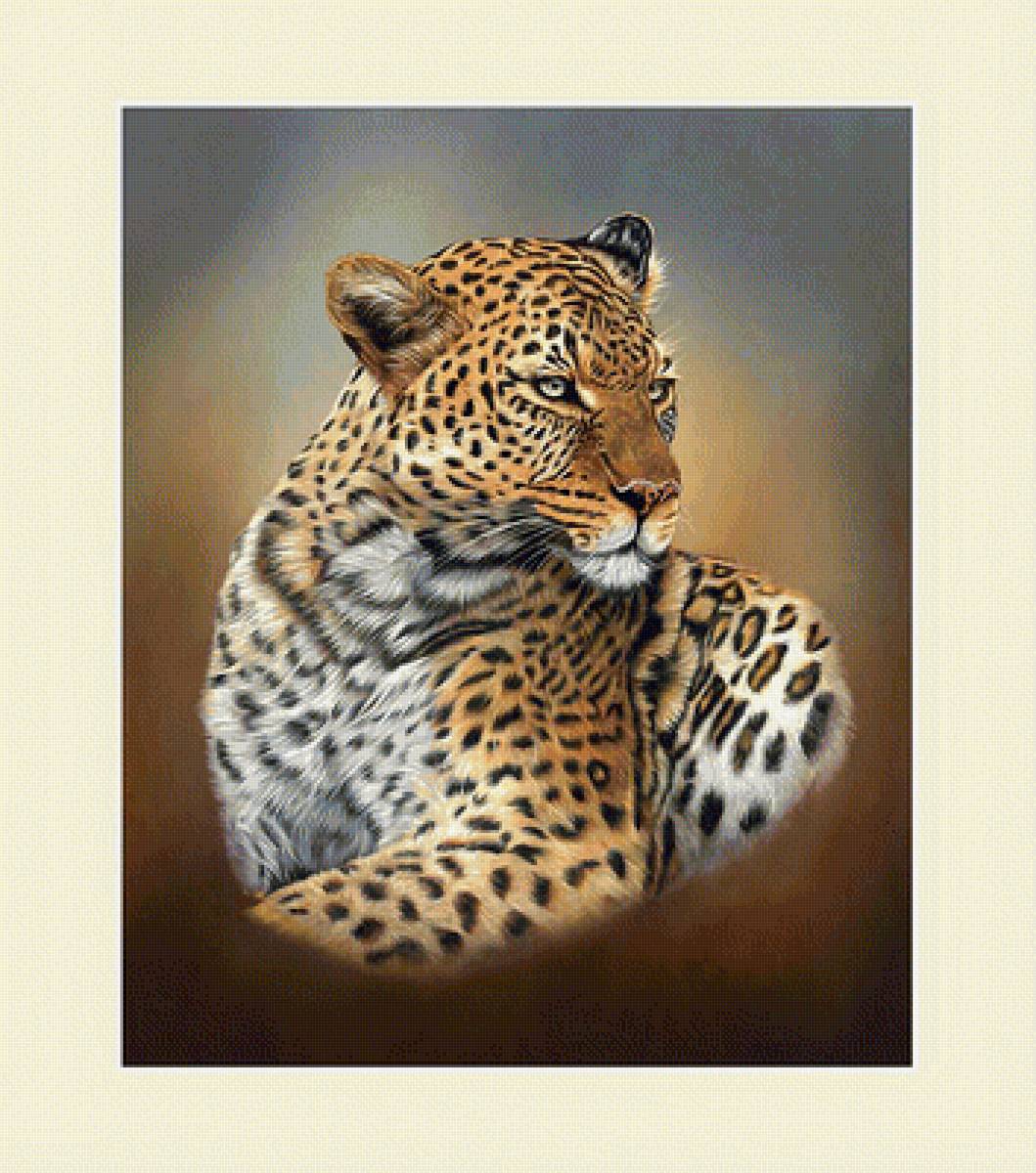 Леопард. - хищник, леопард, взгляд, животные - предпросмотр