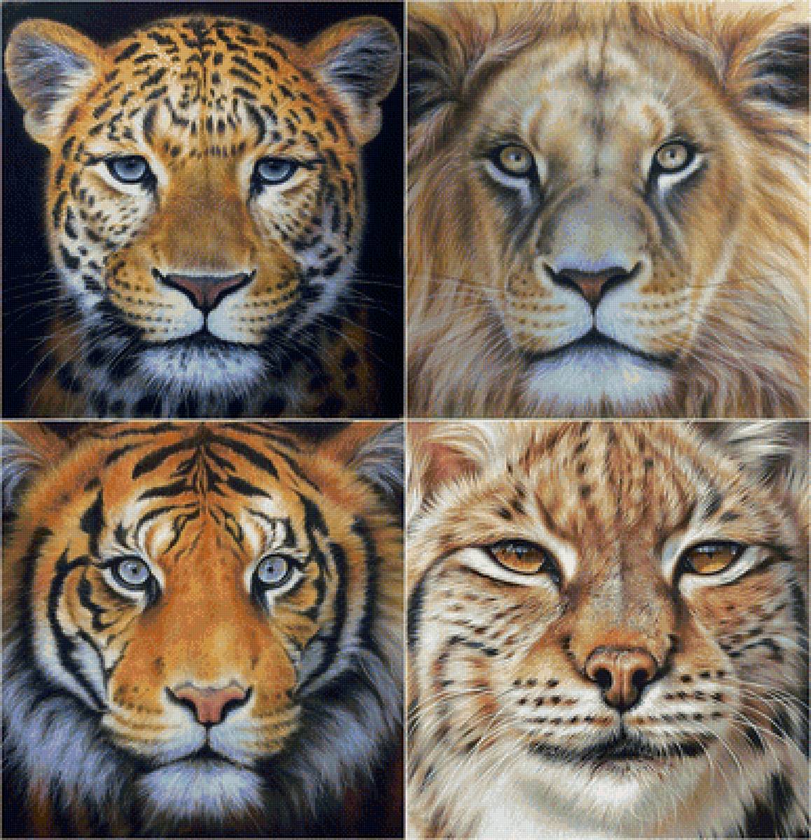 Хищники. - лев, хищники, леопард, тигр, животные, рысь - предпросмотр