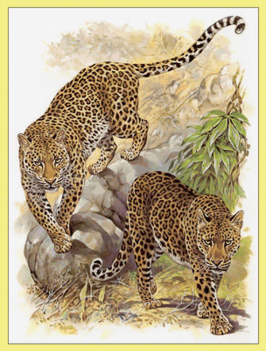 Леопарды. Пара. - хищники, живопись, кошки, леопарды - предпросмотр