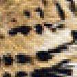 Предпросмотр схемы вышивки «Леопард.» (№1995392)