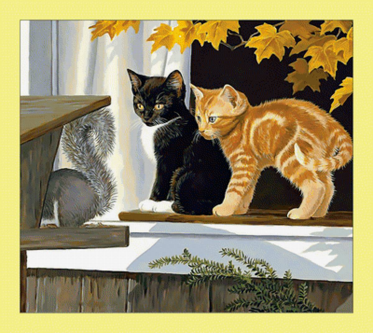 Котята и белка. - осень, белка, котята, кошки - предпросмотр