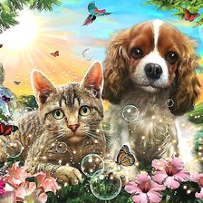 Схема вышивки «кот и пёс»