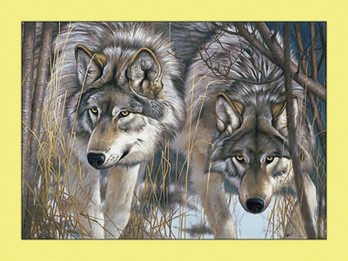 Волки. Пара. - пара, волки, снег, пейзаж, зима, хищники - предпросмотр