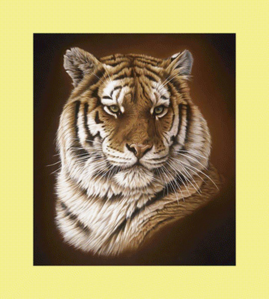 Тигр. - хищник, животные, взгляд, тигр - предпросмотр