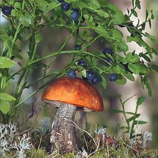 Оригинал схемы вышивки «№1995685»