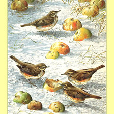 Оригинал схемы вышивки «Птицы.» (№1995734)