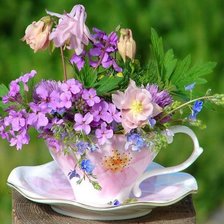 Схема вышивки «Нежность»