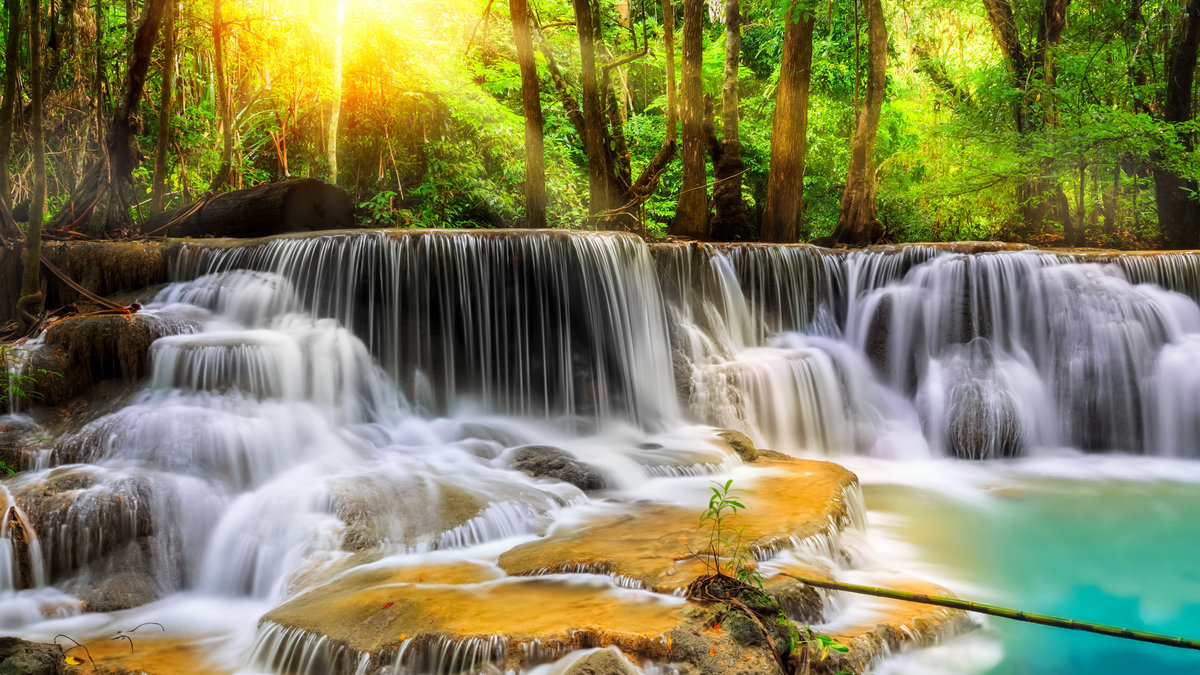 Водопад в лесу - стиль, озеро, водопад, лес, красота, вода, вид - оригинал