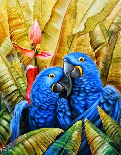 Пара попугаев - попугаи, птицы - оригинал