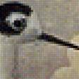 Предпросмотр схемы вышивки «Южные птицы» (№1995979)