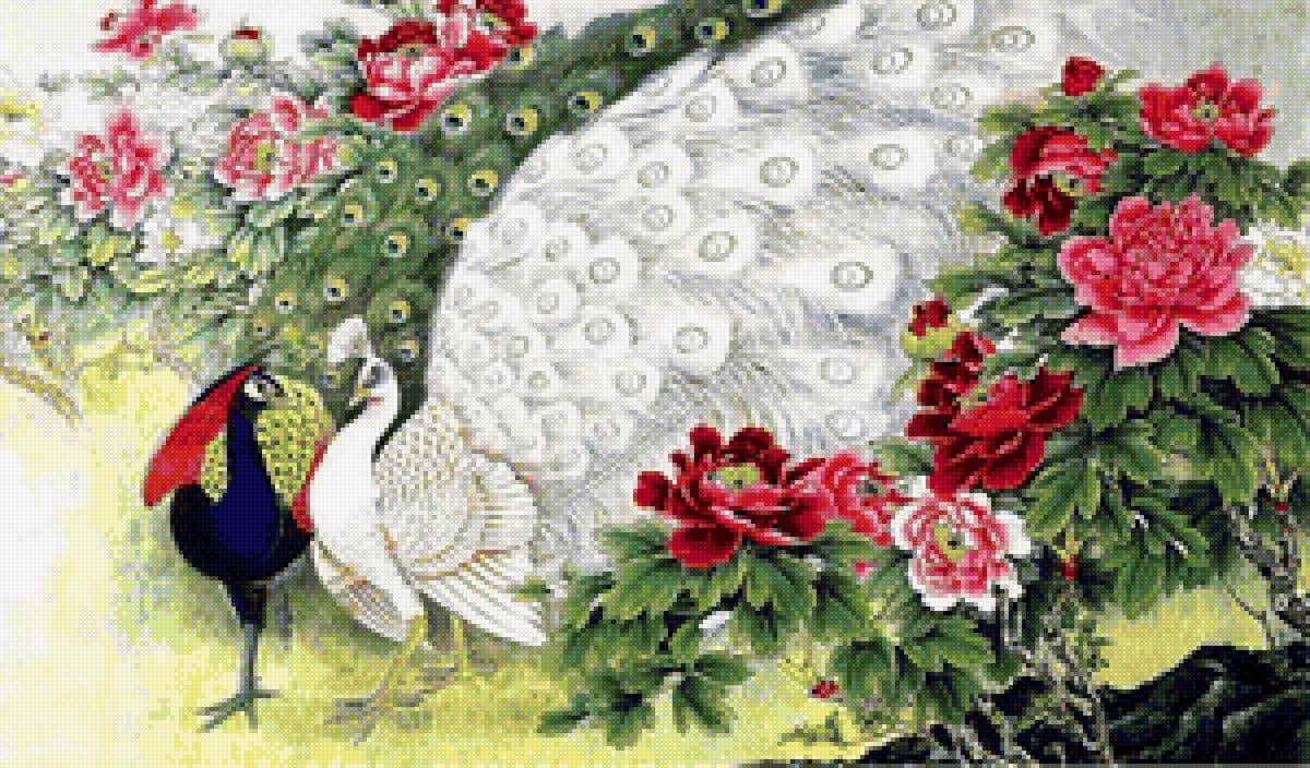 павлины китайские - птицы, животные, живопись - предпросмотр