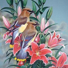 Схема вышивки «№1996102»