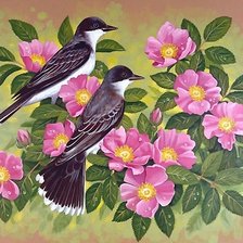 Схема вышивки «№1996107»