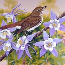 Схема вышивки «№1996108»