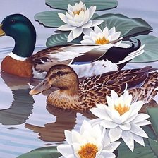 Схема вышивки «№1996110»