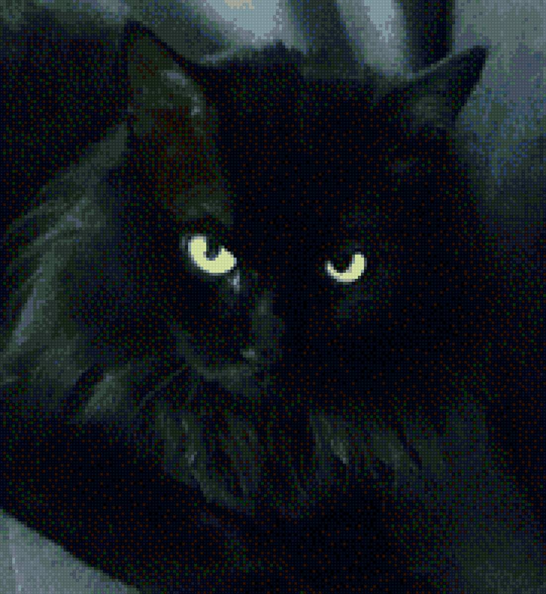 Кот - черный кот домашние животные - предпросмотр