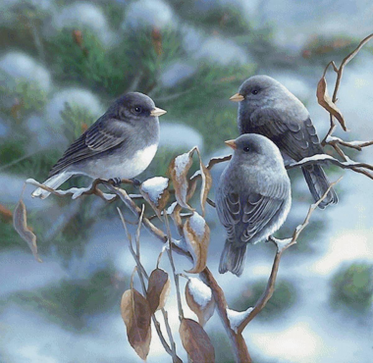 №1996182 - предпросмотр